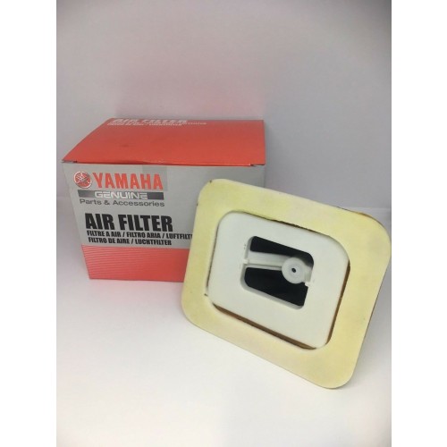 ELEMENT ASSY, AIR CLEANER