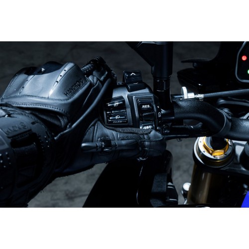 Cruise Control & Variable Speed Limiter